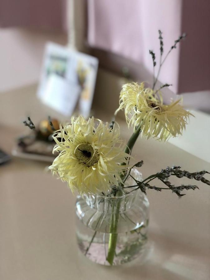 卡布-花藝小民宿 Taitung Floral B&B Buitenkant foto